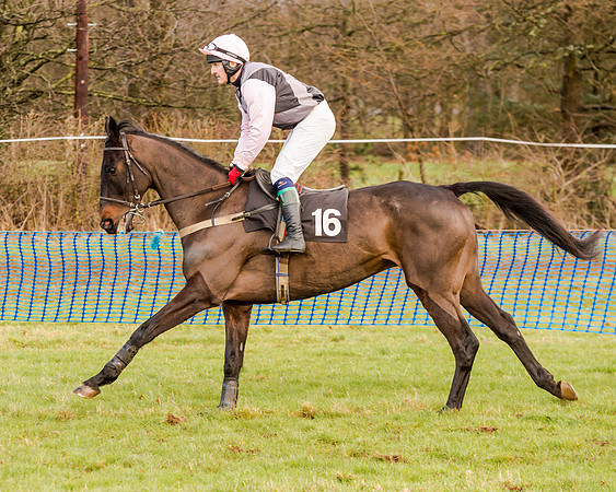 Race 2 - Novice and Veteran Riders (39 of 154)