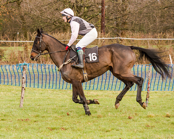 Race 2 - Novice and Veteran Riders (41 of 154)