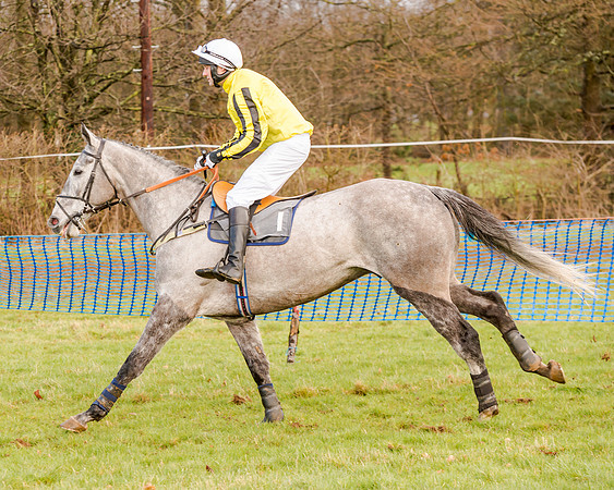 Race 2 - Novice and Veteran Riders (43 of 154)