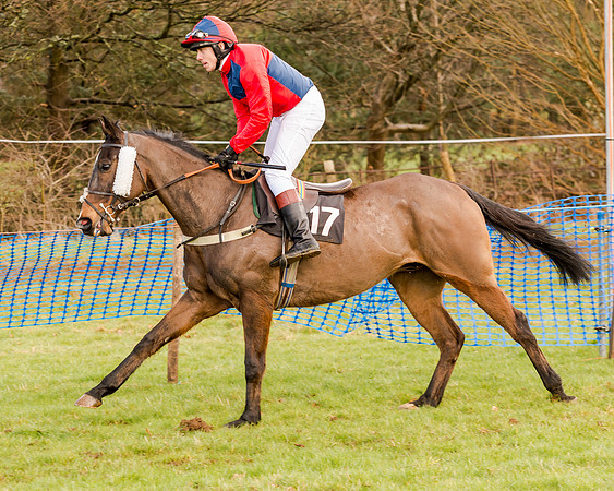 Race 2 - Novice and Veteran Riders (45 of 154)