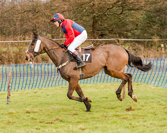 Race 2 - Novice and Veteran Riders (46 of 154)