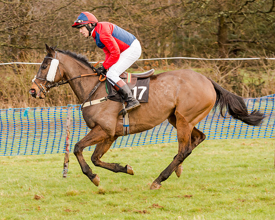 Race 2 - Novice and Veteran Riders (47 of 154)