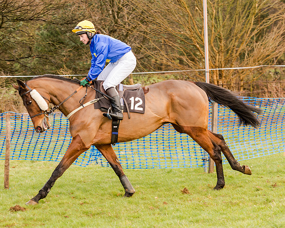 Race 2 - Novice and Veteran Riders (48 of 154)