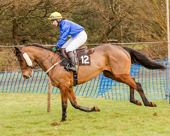 Race 2 - Novice and Veteran Riders (49 of 154)