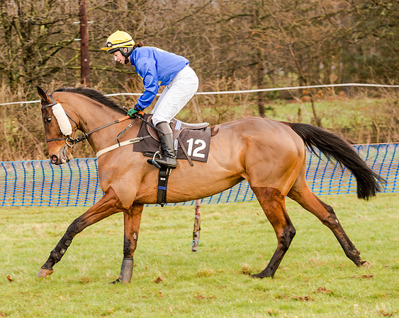 Race 2 - Novice and Veteran Riders (50 of 154)