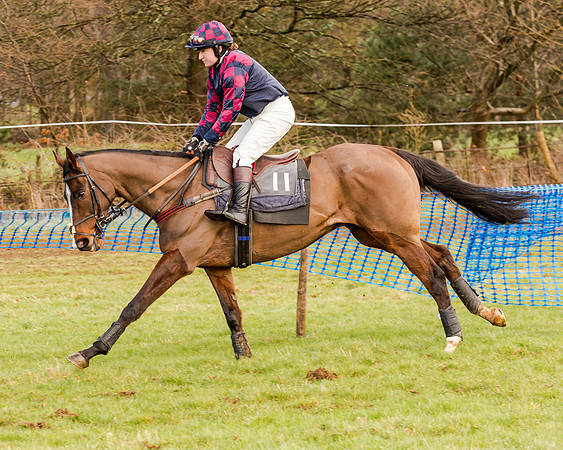 Race 2 - Novice and Veteran Riders (51 of 154)