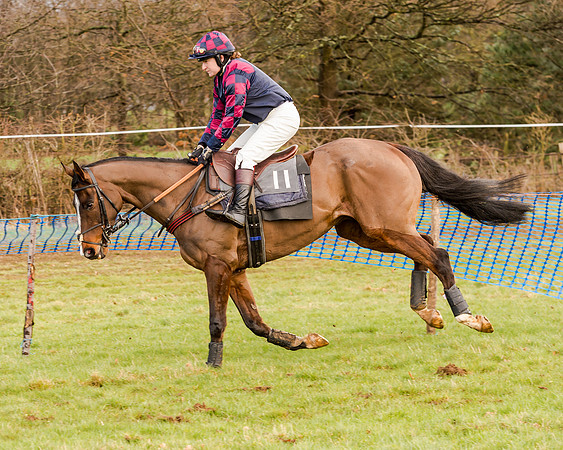 Race 2 - Novice and Veteran Riders (52 of 154)