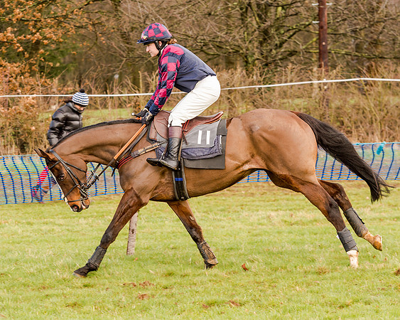 Race 2 - Novice and Veteran Riders (53 of 154)