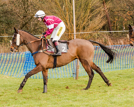 Race 2 - Novice and Veteran Riders (55 of 154)