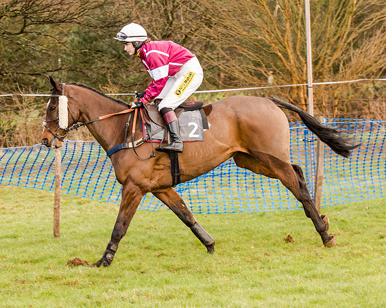 Race 2 - Novice and Veteran Riders (56 of 154)