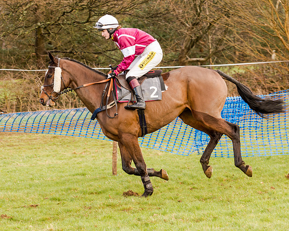 Race 2 - Novice and Veteran Riders (57 of 154)