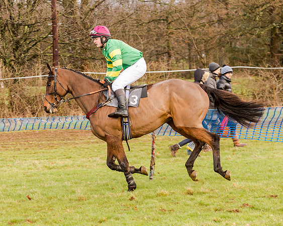 Race 2 - Novice and Veteran Riders (59 of 154)