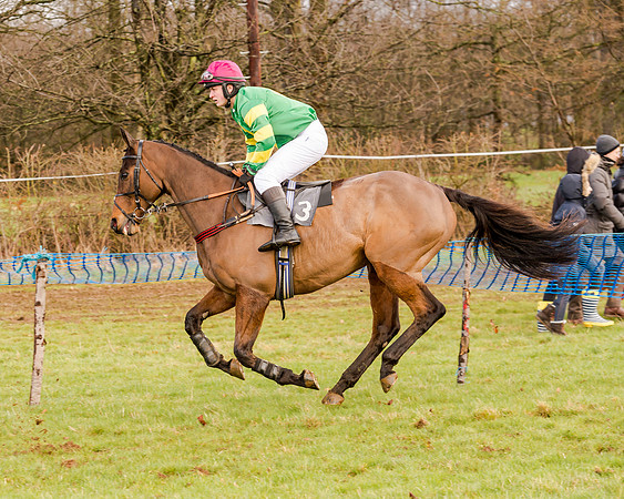 Race 2 - Novice and Veteran Riders (60 of 154)