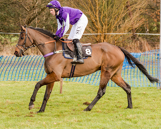 Race 2 - Novice and Veteran Riders (61 of 154)
