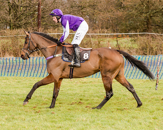 Race 2 - Novice and Veteran Riders (62 of 154)