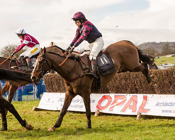 Race 2 - Novice and Veteran Riders (87 of 154)