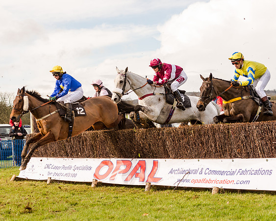 Race 2 - Novice and Veteran Riders (89 of 154)