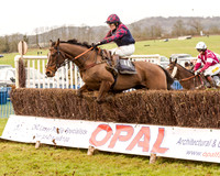 Race 2 - Novice and Veteran Riders
