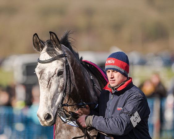 Race 4 - Restricted Race (22 of 103)