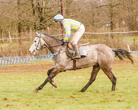 Race 4 - Restricted Race (29 of 103)