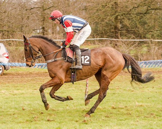 Race 4 - Restricted Race (30 of 103)