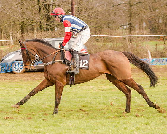 Race 4 - Restricted Race (32 of 103)