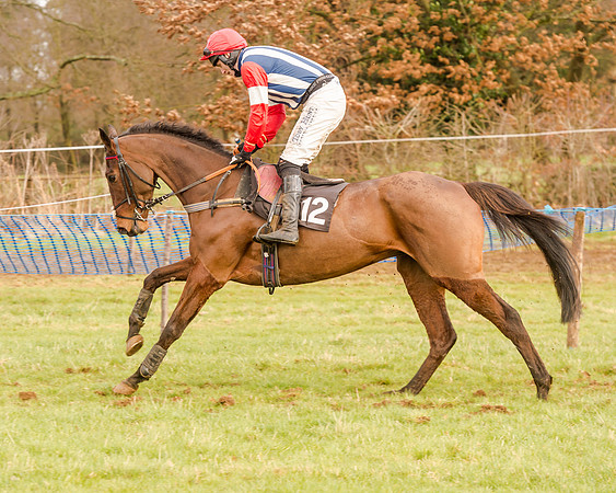 Race 4 - Restricted Race (33 of 103)