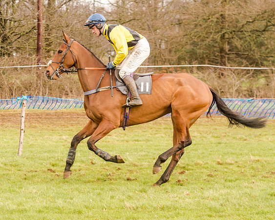 Race 4 - Restricted Race (34 of 103)