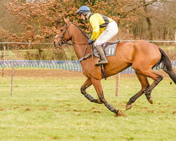 Race 4 - Restricted Race (36 of 103)