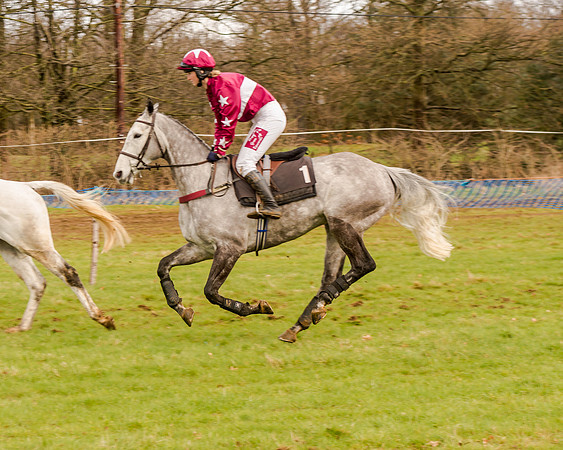 Race 4 - Restricted Race (40 of 103)