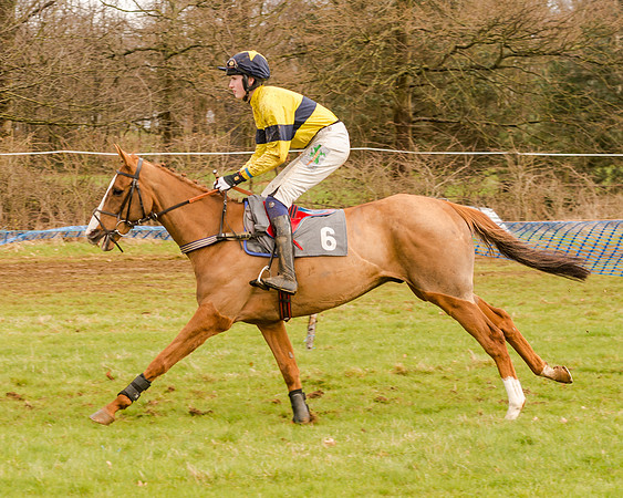 Race 4 - Restricted Race (43 of 103)