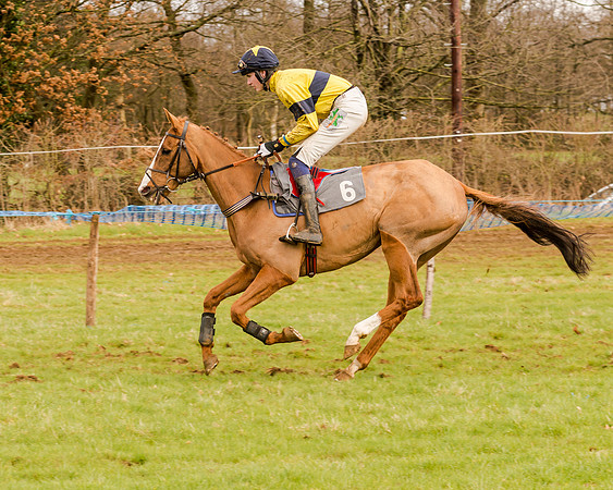 Race 4 - Restricted Race (44 of 103)