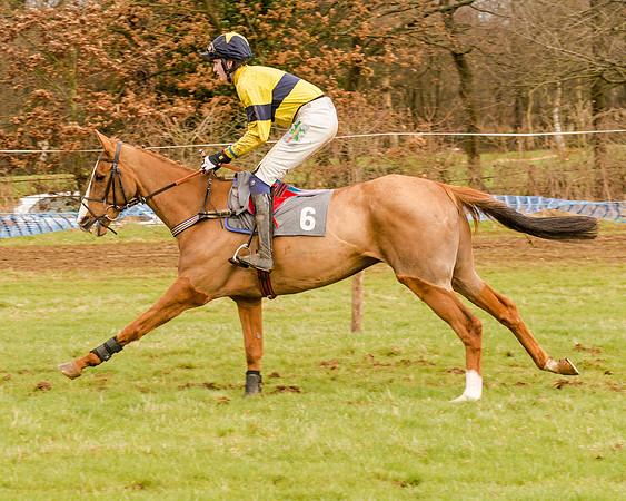 Race 4 - Restricted Race (45 of 103)