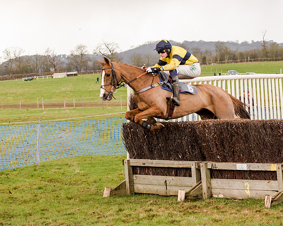 Race 4 - Restricted Race (54 of 103)