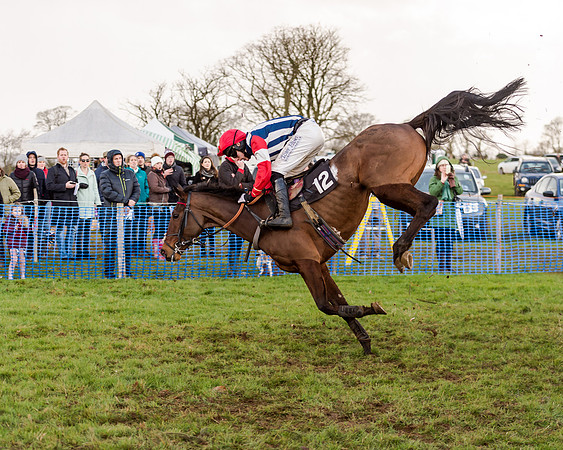 Race 4 - Restricted Race (67 of 103)