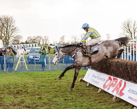 Race 4 - Restricted Race (80 of 103)