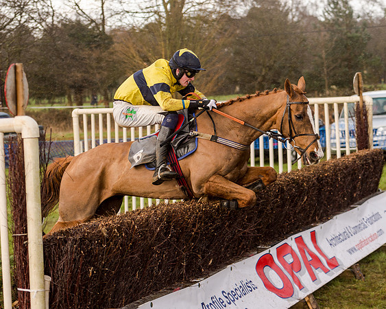 Race 4 - Restricted Race (90 of 103)
