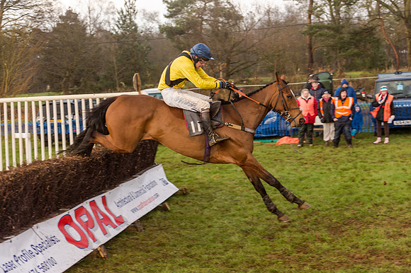 Race 4 - Restricted Race (94 of 103)