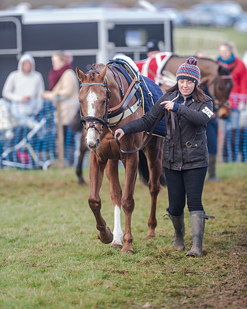 Race 5 - Open Maiden (15 of 134)
