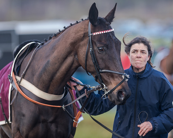 Race 5 - Open Maiden (22 of 134)