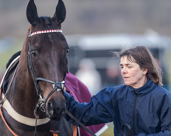 Race 5 - Open Maiden (23 of 134)