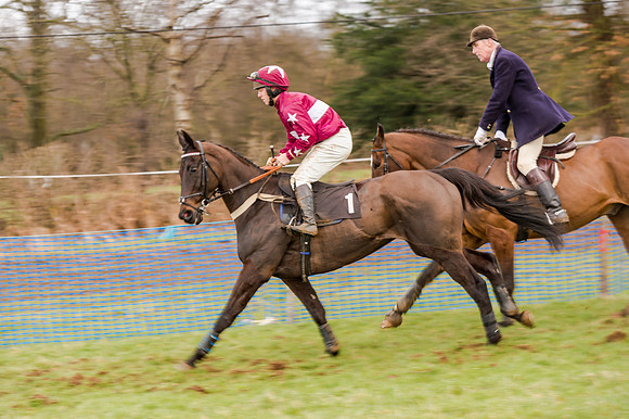 Race 5 - Open Maiden (44 of 134)