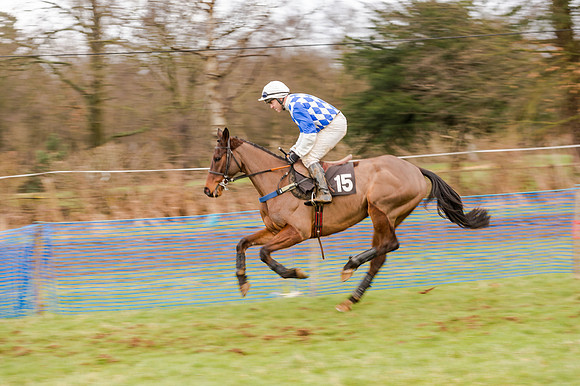 Race 5 - Open Maiden (46 of 134)