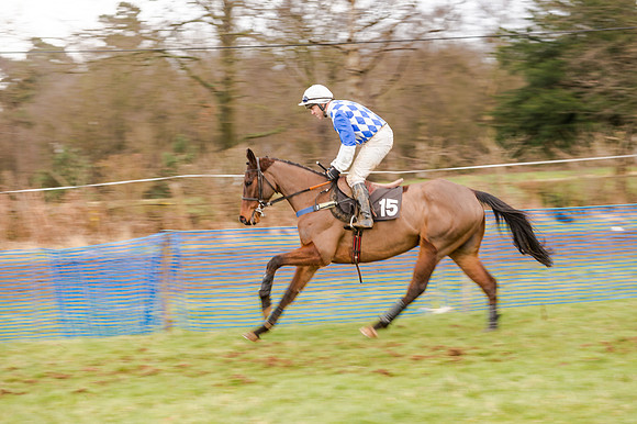 Race 5 - Open Maiden (47 of 134)