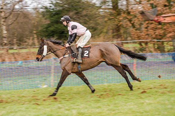 Race 5 - Open Maiden (48 of 134)