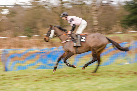 Race 5 - Open Maiden (50 of 134)