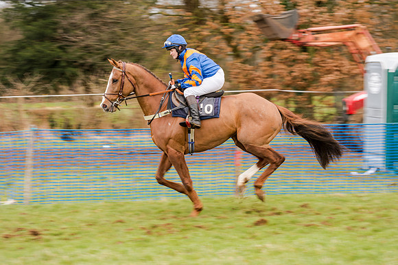 Race 5 - Open Maiden (52 of 134)