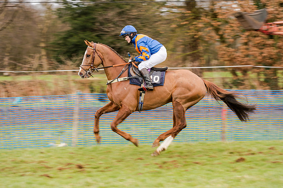 Race 5 - Open Maiden (53 of 134)