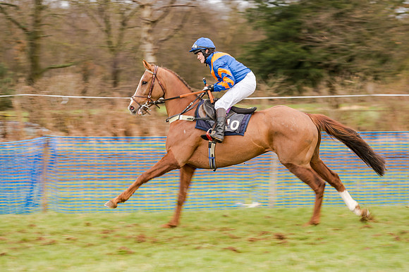 Race 5 - Open Maiden (54 of 134)