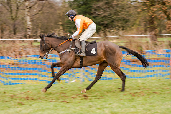Race 5 - Open Maiden (57 of 134)
